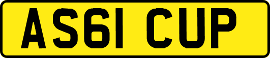 AS61CUP