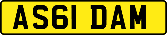 AS61DAM