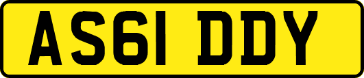 AS61DDY