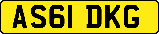 AS61DKG