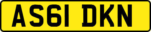 AS61DKN