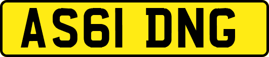AS61DNG