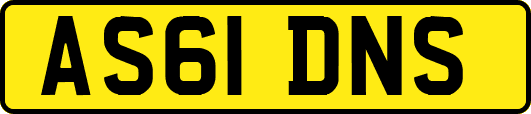 AS61DNS