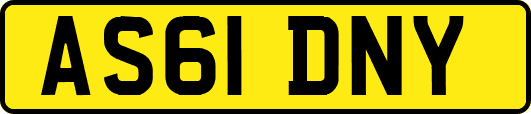 AS61DNY