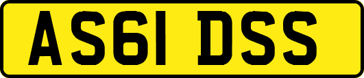 AS61DSS