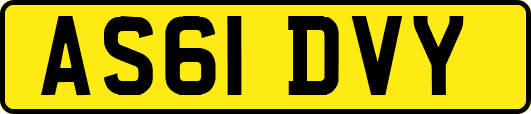 AS61DVY
