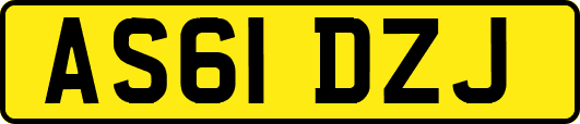 AS61DZJ