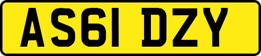AS61DZY