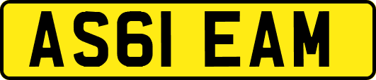 AS61EAM