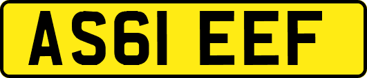 AS61EEF