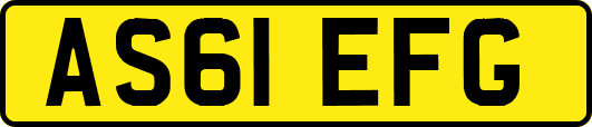 AS61EFG
