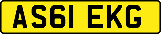 AS61EKG