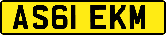 AS61EKM