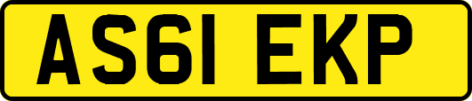 AS61EKP
