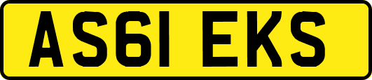 AS61EKS