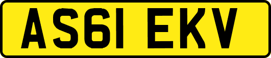 AS61EKV