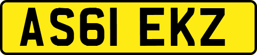 AS61EKZ
