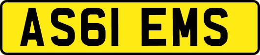 AS61EMS