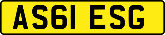 AS61ESG