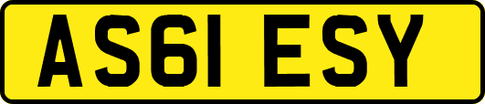 AS61ESY