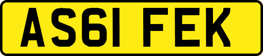 AS61FEK