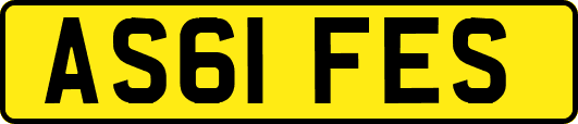 AS61FES