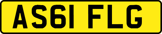 AS61FLG