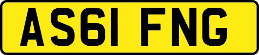 AS61FNG