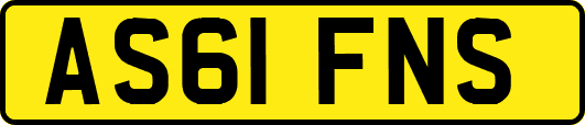AS61FNS