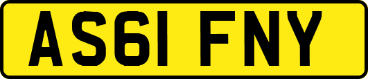 AS61FNY