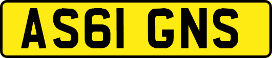 AS61GNS