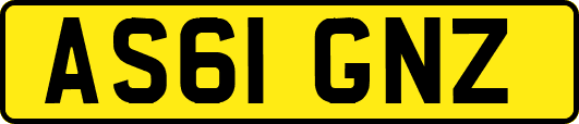 AS61GNZ