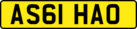 AS61HAO