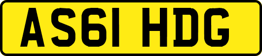 AS61HDG