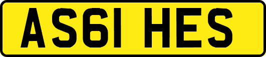 AS61HES