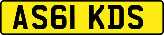 AS61KDS