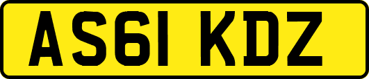 AS61KDZ