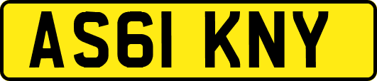 AS61KNY