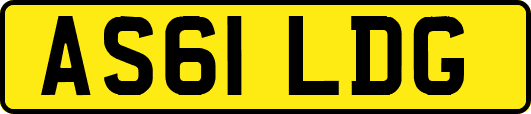 AS61LDG