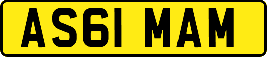 AS61MAM