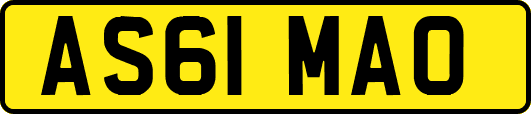 AS61MAO