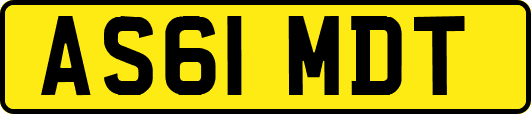 AS61MDT