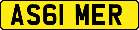 AS61MER