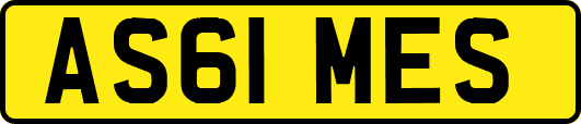 AS61MES