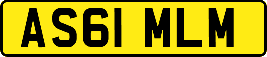 AS61MLM