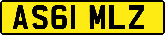 AS61MLZ