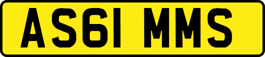 AS61MMS