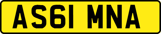 AS61MNA