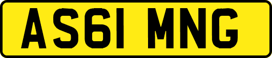 AS61MNG