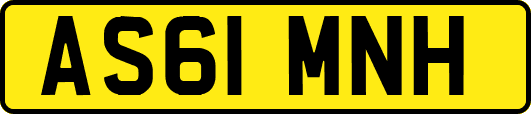 AS61MNH